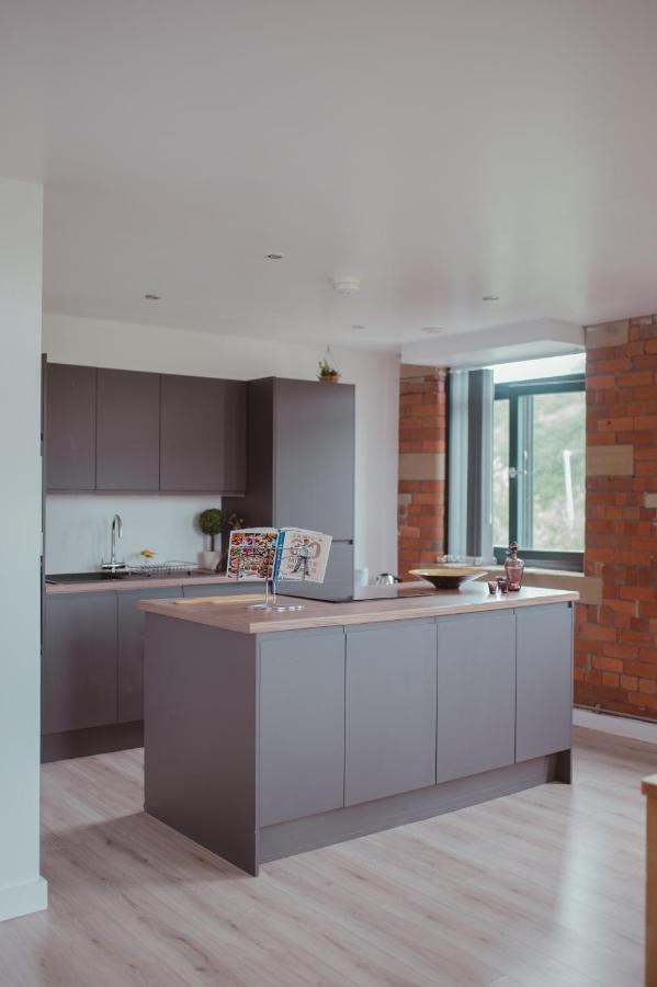 Bv Luxury Penthouse Conditioning House Apartment *